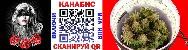 Бошки Шишки сатива Гороховец